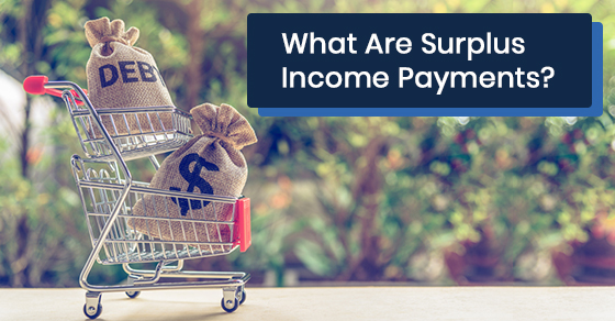 What are surplus income payments?